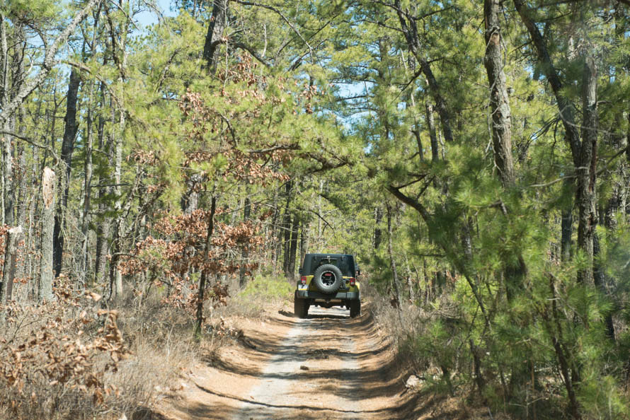 JK Wrangler Rumbling Down a Trail